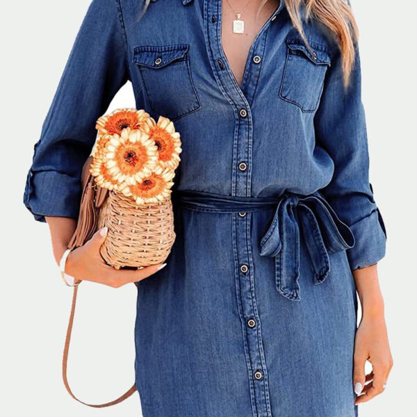 Elegant Solid Frenulum Turndown Collar Long Sleeve Loose Denim Dresses